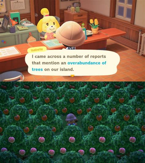 120+ Funniest Animal Crossing Memes: The Ultimate Collection – FandomSpot