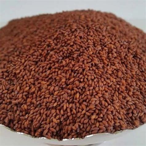 Garden Cress Seeds at Rs 80/kilogram | Linseed in Unjha | ID: 16369467933