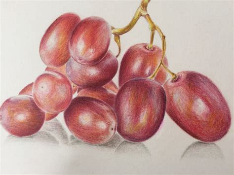 Colored Pencil Grapes Drawing Original Art Still Life Painting Grapes ...