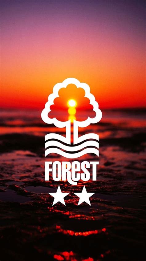 Nottingham Forest, football, nottimgham, HD phone wallpaper | Peakpx