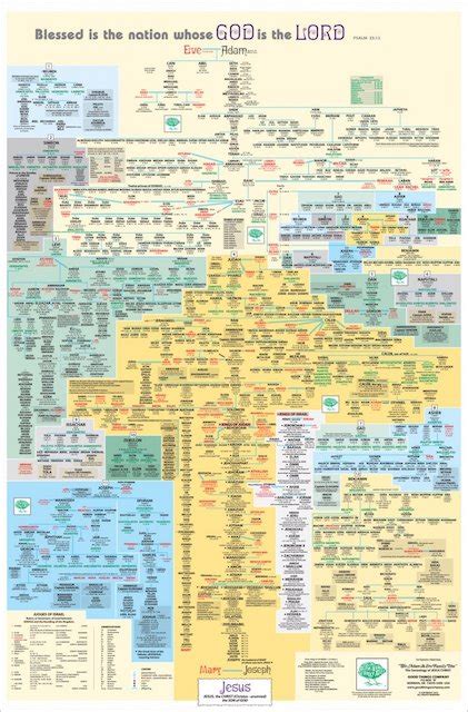 The Adam and Eve Family Tree Wall Chart – The Adam & Eve Family Tree