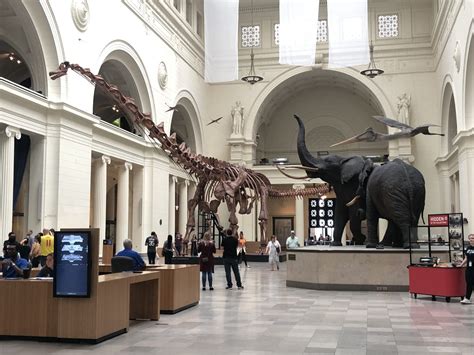 Field Museum, el museo de Historia Natural de Chicago - Viajes Globetrotter