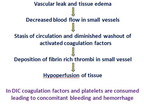 Septic shock and pathogenesis – Histopathology.guru