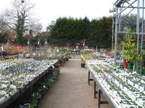 Squires Garden Centre at Windsor - JustGardenCentres