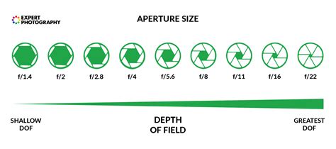 How Does a Camera Work? | Photography for Beginners