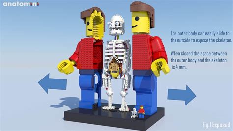 Everything is Gruesome with This Awesome LEGO Anatomical Model