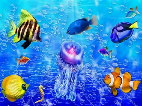 Underwater | Fish wallpaper, Fish under the sea, Undersea world