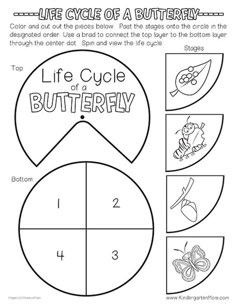 Free Butterfly Life Cycle Printables. This set includes a colorful life cycle chart, lif ...