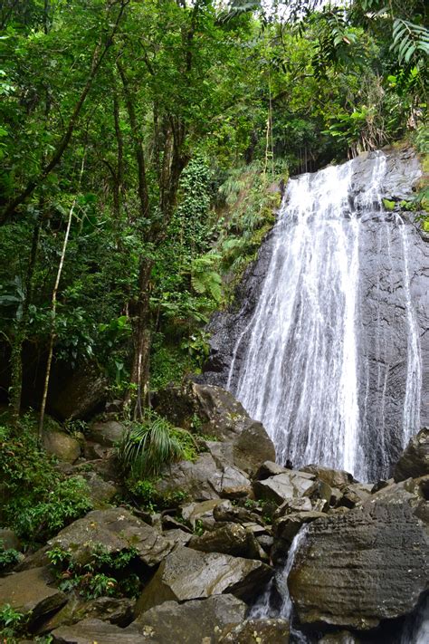 5 Cascadas para visitar en Puerto Rico durante el verano - Tu Nuevo Hogar