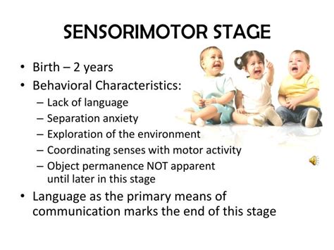 PPT - Jean Piaget PowerPoint Presentation - ID:1907561