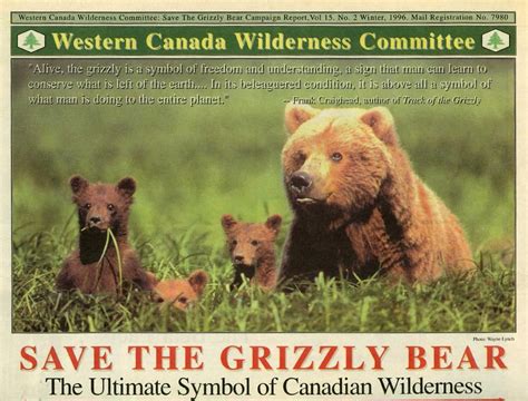 Save the Grizzly Bear | Wilderness Committee