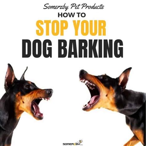 How to Stop Your Barking Dog Successfully - The Updated (2018) Guide