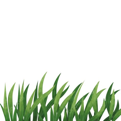 Cartoon Grass Clipart Transparent Background, Download Cartoon Grass For Nature, Grass ...