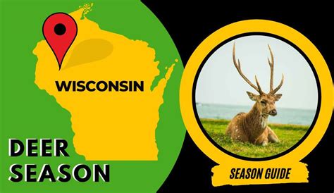 Wi Deer Seasons 2024 - Betty Chelsey