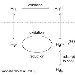 4: Atmospheric gas-phase and aqueous-phase transformation pathways. | Download Scientific Diagram