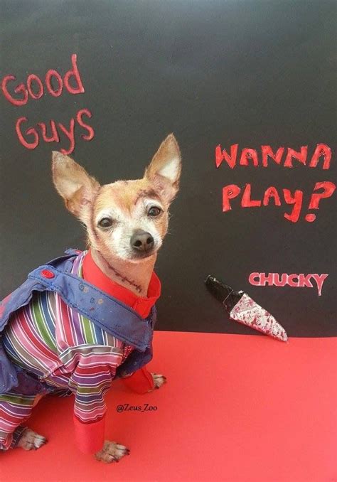 Chucky Halloween Dog Costume | Dog halloween costumes, Dog halloween ...