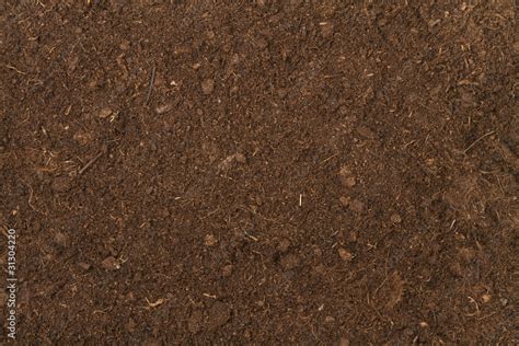 peat soil Stock Photo | Adobe Stock