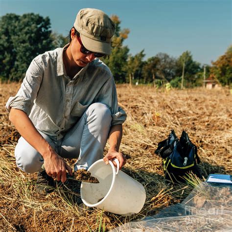 Soil Scientist Taking Soil Sample Photograph by Microgen Images/science Photo Library