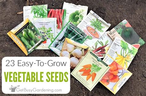 23 Easiest Vegetables To Grow From Seed - Get Busy Gardening