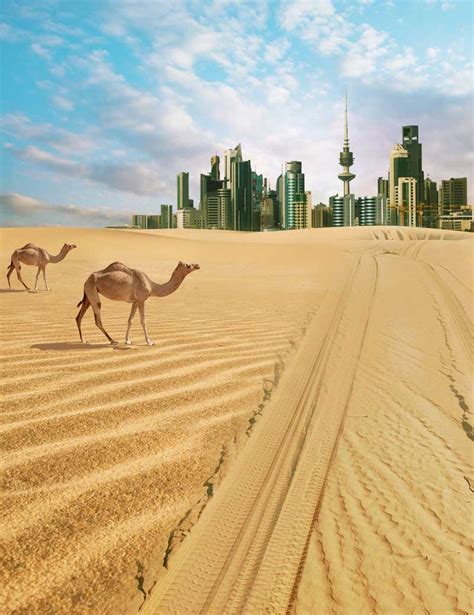 IndiansinKuwait.com - The Miraculous Desert of Kuwait