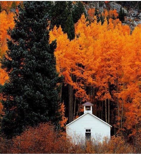 15 most beautiful fall sceneries | Autumn scenery, Scenery, Photography ...