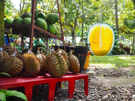 Belviz Farms All-Year Davao Durian Buffet - Year of the Durian