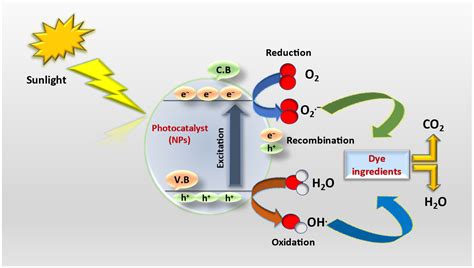 Molecules | Free Full-Text | Photocatalytic Degradation of Food and ...