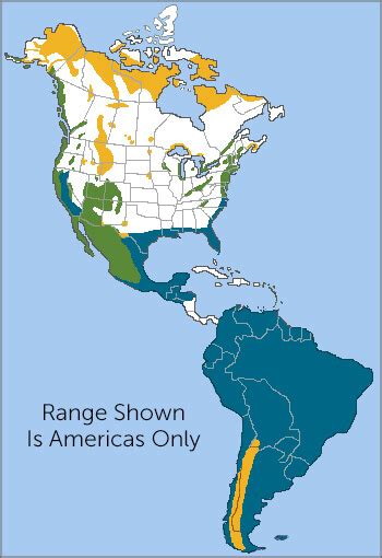 Peregrine Falcon Migration Map - Map Of New Hampshire