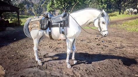 The Elite White Arabian Horse! : r/reddeadredemption2