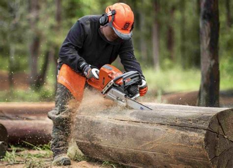 Chainsaws can be dangerous. Here’s how to stay safe • Outdoor Canada