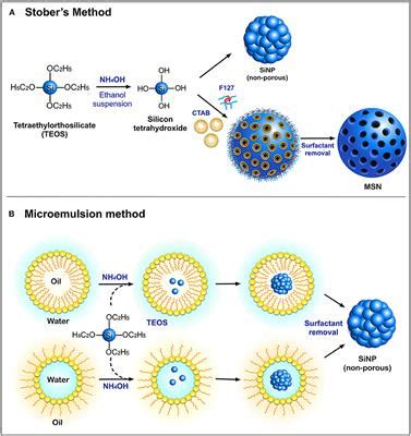 Frontiers | Silica Nanoparticles—A Versatile Tool for the Treatment of Bacterial Infections