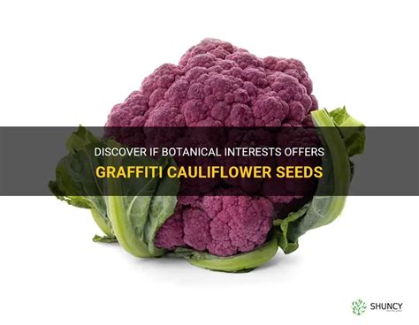 Discover If Botanical Interests Offers Graffiti Cauliflower Seeds | ShunCy