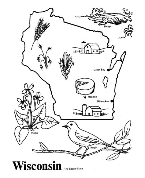 Wisconsinstate Bird Coloring Page - Coloring Home