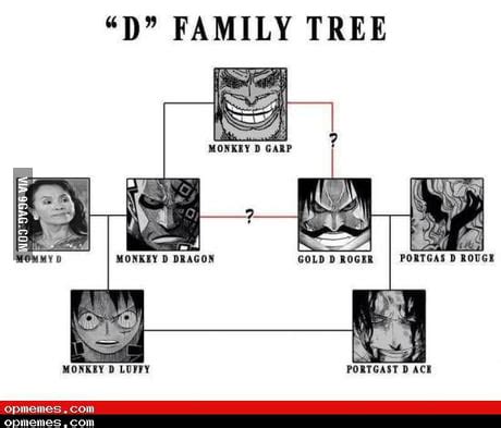 One Piece D Family Tree