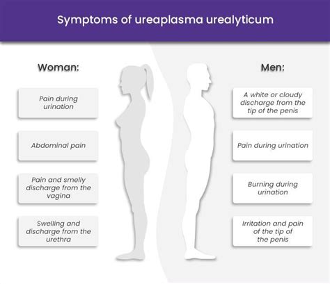 ᐅ Ureaplasma Urealyticum Treatment & Information Online