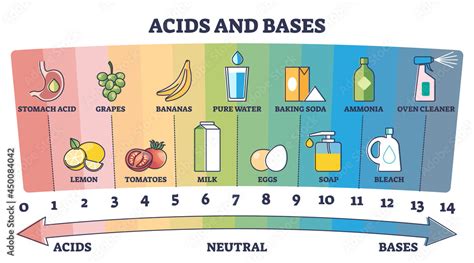 Acids, neutral and bases substances scale with examples outline diagram ...