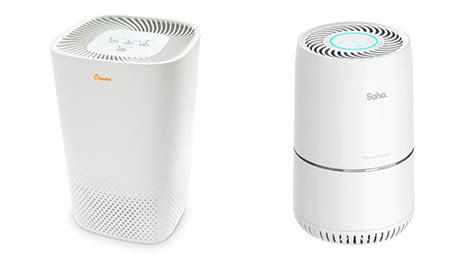 Does Air Purifier Help with Allergies - Best Advisor