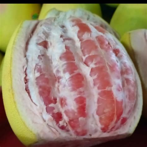 Fresh Sweet Davao Pomelo (Suha) order price / kilo – Farm2Metro