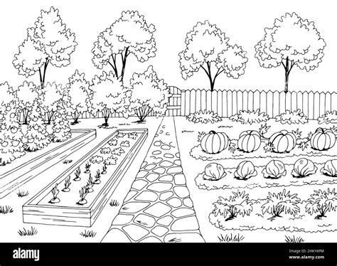 Vegetable Garden Clip Art Black And White