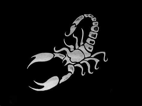 Scorpio Tattoo Zodiac Sign: Discover the Best Designs and Meanings for ...