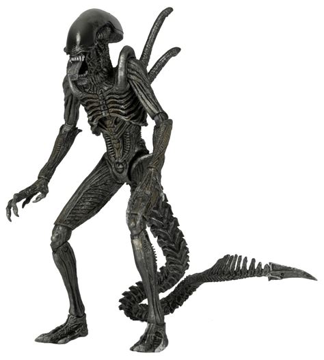 DISCONTINUED – Aliens – 7″ Scale Action Figures – Series 7 Assortment