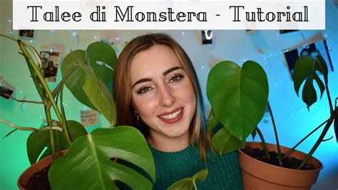 Talee di Monstera Deliciosa - TUTORIAL - YouTube