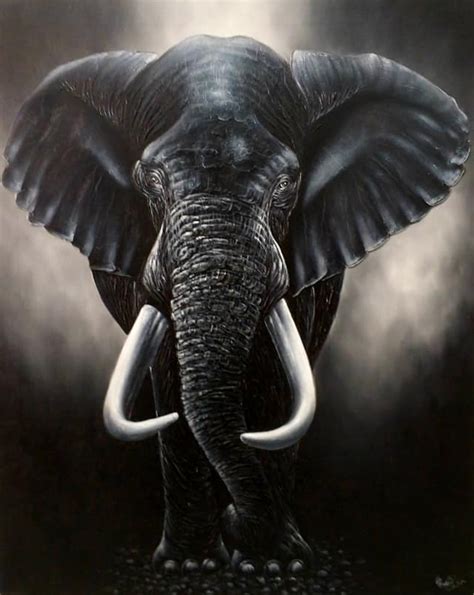 Best Elephant Art Black and White Painting with Trunk