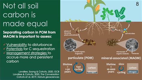 How Soil Carbon Sequestration Applies To Agriculture - Riset