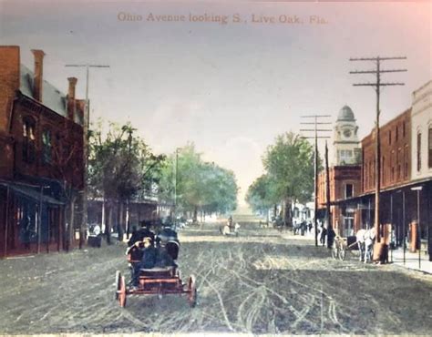 Live Oak Vintage Postcard in 2020 | Live oak florida, Live oak, Scenic road trip