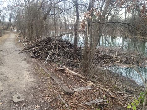 Oxley Nature Center Trails