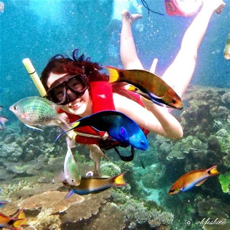 oh{FISH}iee: Snorkelling at Laguna Redang Island and Marine Park Terengganu