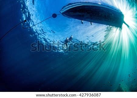 Under The Sea Stock Photos, Images, & Pictures | Shutterstock