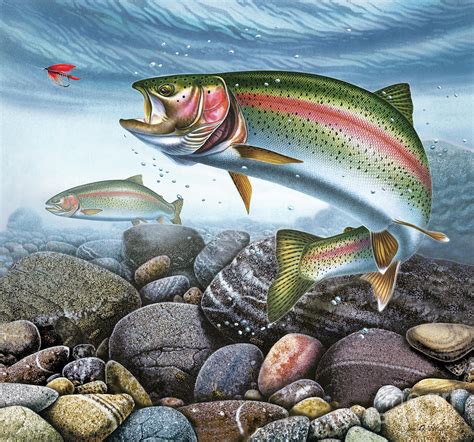 Perfect Drift Rainbow Trout Painting by JQ Licensing - Pixels