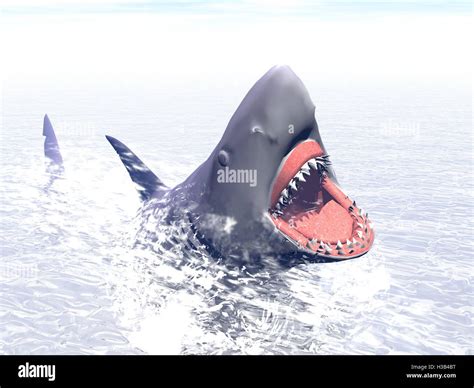 Shark attack - 3D render Stock Photo - Alamy